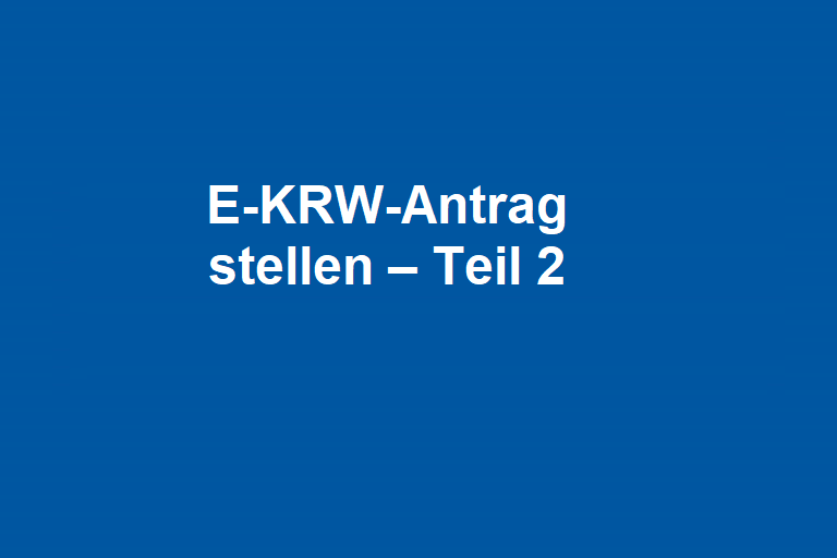 E-KRW-Antrag stellen – Teil 2